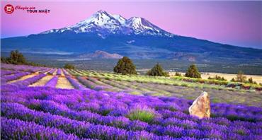 [HCM] Tour Nhật Bản Khám Phá Hokkaido Mùa Hè 2026